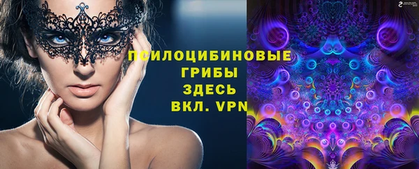 ешки Алзамай