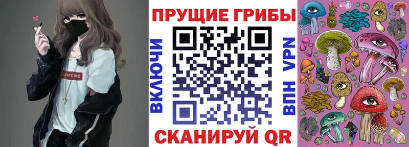 Псилоцибиновые грибы Psilocybine cubensis Ермолино